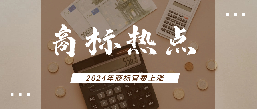 2024年这些国家的官费将上涨，跨境卖家注意了！