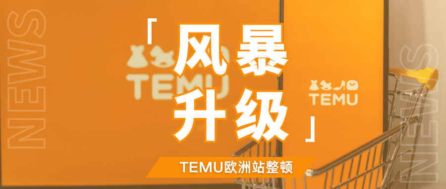 重拳出击！Temu欧洲站大批链接遭下架，卖家该如何自救？